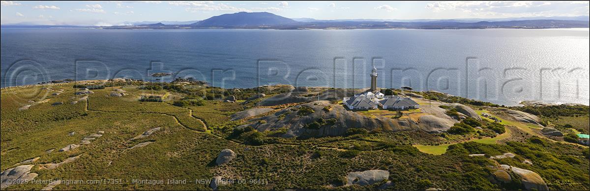 Peter Bellingham Photography Montague Island - NSW (PBH4 00 9641)